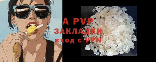 стаф Володарск